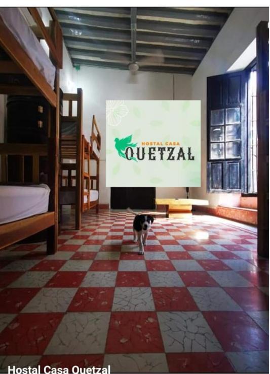 Hostel Casa Quetzal Campeche Ngoại thất bức ảnh